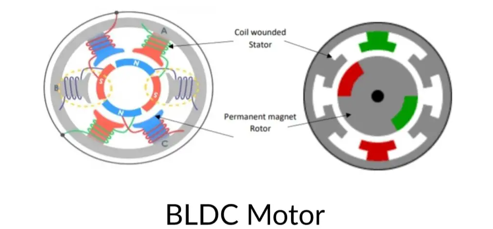 Schema di un motore BLDC che mostra le bobine dello statore e i magneti del rotore